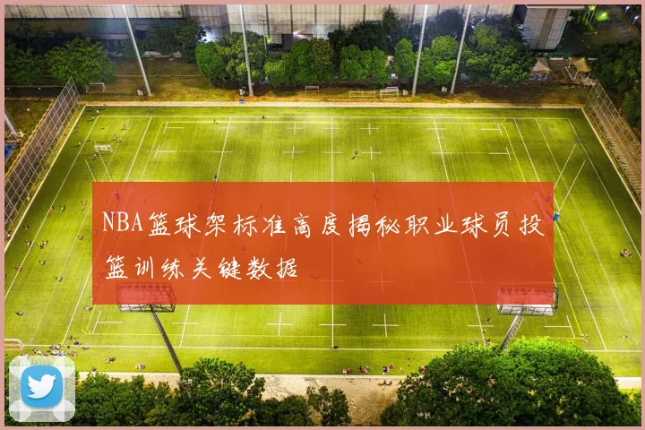 NBA篮球架标准高度揭秘职业球员投篮训练关键数据