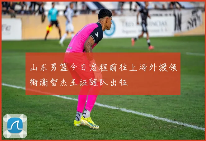 山东男篮今日启程前往上海外援领衔谢智杰王证随队出征