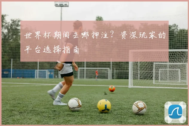 世界杯期间去哪押注?资深玩家的平台选择指南