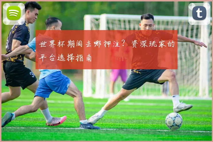 世界杯期间去哪押注?资深玩家的平台选择指南