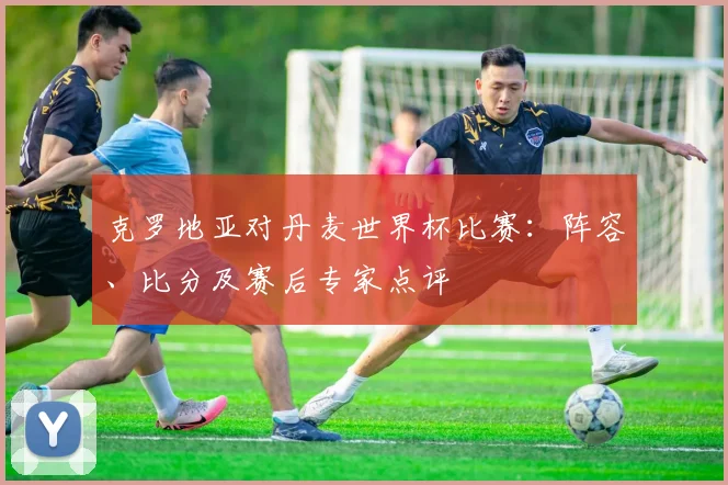 克罗地亚对丹麦世界杯比赛:阵容、比分及赛后专家点评